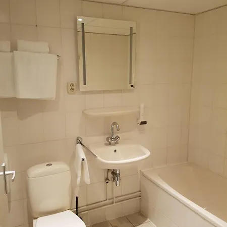 Hotel De Lis 3*